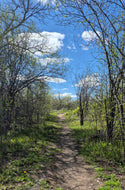 Outdoor Power Trail Walk Session